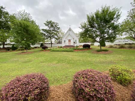 Santa Claus City Hall lawn and azaleas